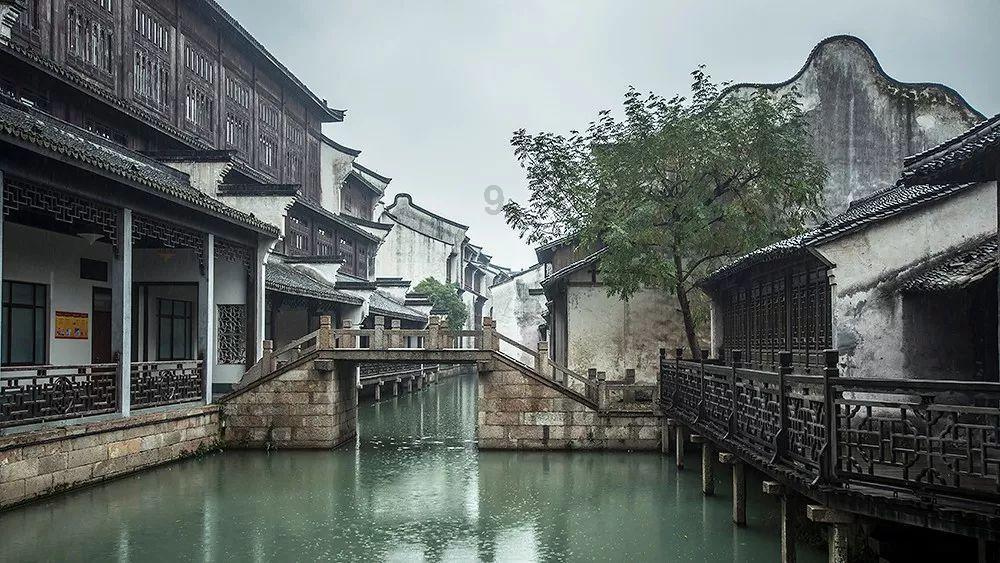 唯一的幸存者